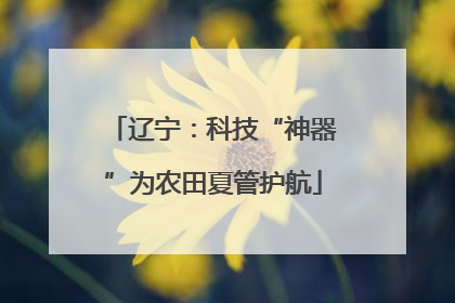 辽宁：科技“神器”为农田夏管护航
