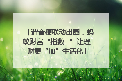 谐音梗联动出圈，蚂蚁财富“指数+”让理财更“加”生活化