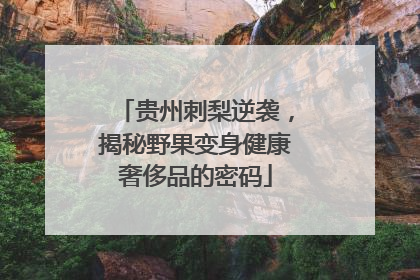 贵州刺梨逆袭，揭秘野果变身健康奢侈品的密码