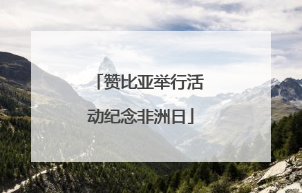 赞比亚举行活动纪念非洲日
