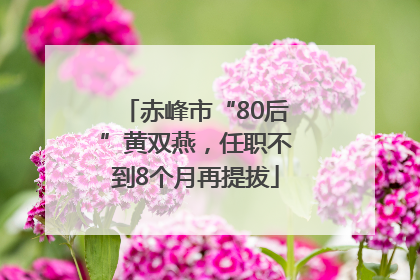 赤峰市“80后”黄双燕，任职不到8个月再提拔