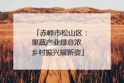 赤峰市松山区：果蔬产业绿意浓 乡村振兴展新姿