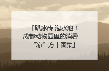 趴冰砖 泡水池！成都动物园里的消暑“凉”方丨图集