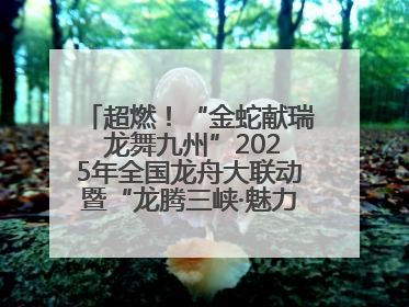 超燃！“金蛇献瑞 龙舞九州”2025年全国龙舟大联动暨“龙腾三峡·魅力巫山”龙舟邀请赛圆满落幕！