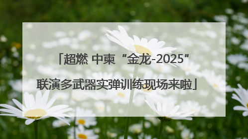 超燃 中柬“金龙-2025”联演多武器实弹训练现场来啦