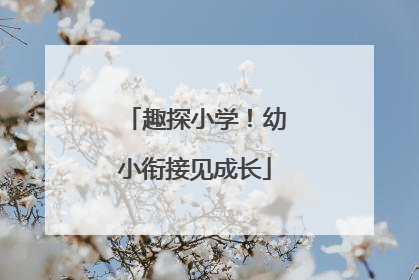 趣探小学！幼小衔接见成长