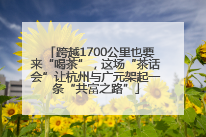 跨越1700公里也要来“喝茶”，这场“茶话会”让杭州与广元架起一条“共富之路”