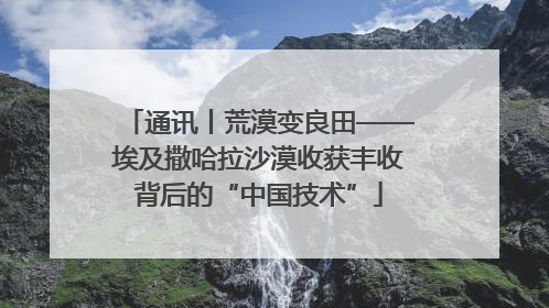 通讯丨荒漠变良田——埃及撒哈拉沙漠收获丰收背后的“中国技术”