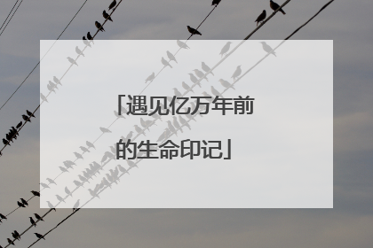 遇见亿万年前的生命印记