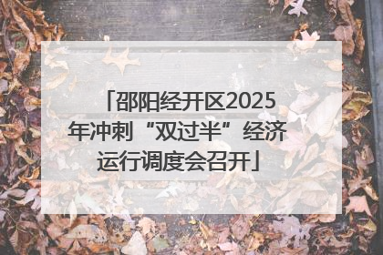 邵阳经开区2025年冲刺“双过半”经济运行调度会召开