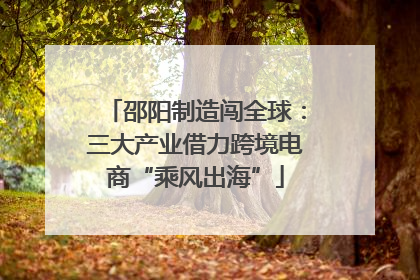 邵阳制造闯全球：三大产业借力跨境电商“乘风出海”
