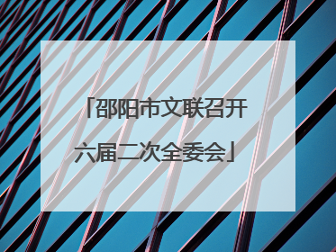 邵阳市文联召开六届二次全委会