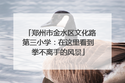 郑州市金水区文化路第三小学：在这里看到拳不离手的风景