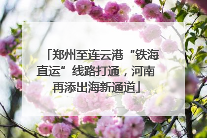 郑州至连云港“铁海直运”线路打通，河南再添出海新通道