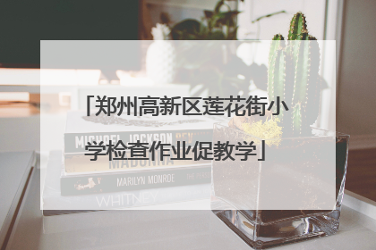 郑州高新区莲花街小学检查作业促教学