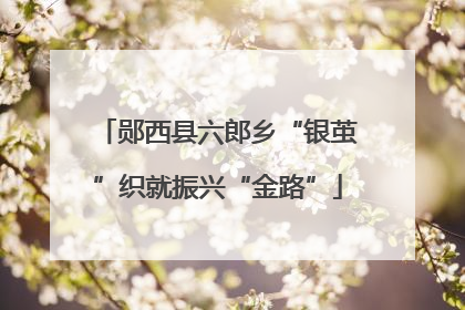 郧西县六郎乡“银茧”织就振兴“金路”