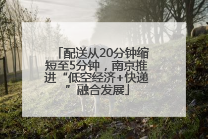 配送从20分钟缩短至5分钟，南京推进“低空经济+快递”融合发展