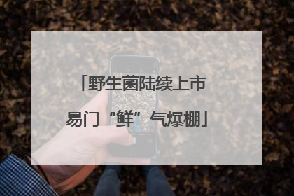 野生菌陆续上市 易门“鲜”气爆棚