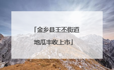 金乡县王丕街道地瓜丰收上市