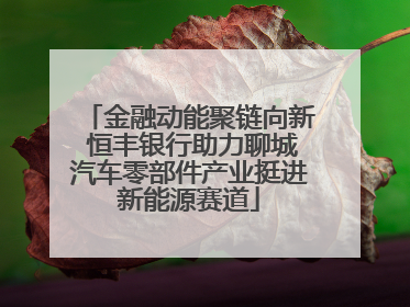金融动能聚链向新 恒丰银行助力聊城汽车零部件产业挺进新能源赛道