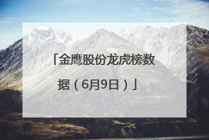 金鹰股份龙虎榜数据（6月9日）