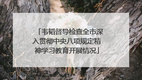 韦韬督导检查全市深入贯彻中央八项规定精神学习教育开展情况