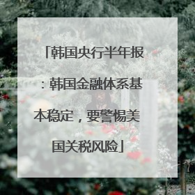 韩国央行半年报：韩国金融体系基本稳定，要警惕美国关税风险