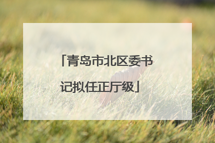 青岛市北区委书记拟任正厅级