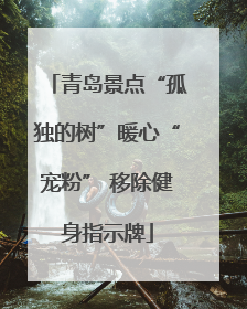 青岛景点“孤独的树”暖心“宠粉” 移除健身指示牌