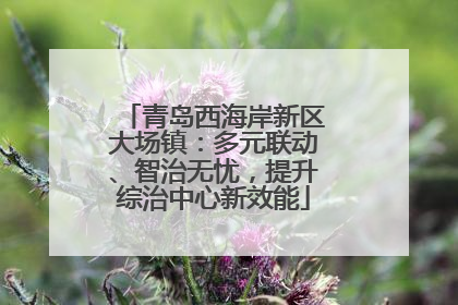 青岛西海岸新区大场镇：多元联动、智治无忧，提升综治中心新效能