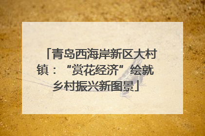 青岛西海岸新区大村镇：“赏花经济”绘就乡村振兴新图景