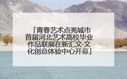 青春艺术点亮城市 首届河北艺术高校毕业作品联展在新汇文·文化创意体验中心开幕