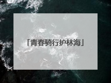 青春骑行护林海