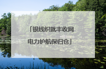 银线织就丰收网 电力护航保归仓