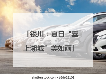 银川：夏日“塞上湖城”美如画
