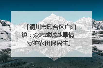 铜川市印台区广阳镇：众志成城战旱情 守护农田保民生