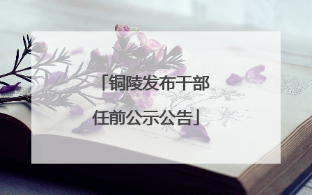 铜陵发布干部任前公示公告