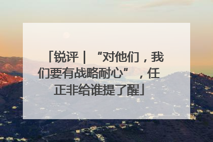 锐评｜“对他们，我们要有战略耐心”，任正非给谁提了醒