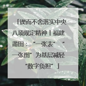 锲而不舍落实中央八项规定精神丨福建莆田：“一张表”“一张图”为基层减轻“数字负担”