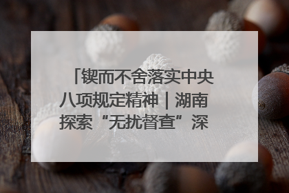 锲而不舍落实中央八项规定精神｜湖南探索“无扰督查”深化基层减负