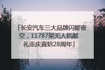 长安汽车三大品牌闪耀夜空，11787架无人机献礼重庆直辖28周年
