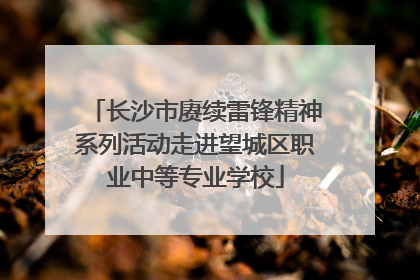 长沙市赓续雷锋精神系列活动走进望城区职业中等专业学校