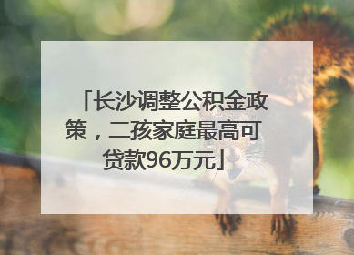 长沙调整公积金政策，二孩家庭最高可贷款96万元