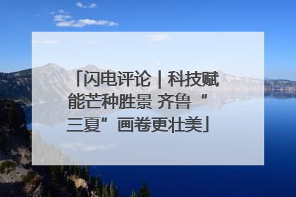 闪电评论｜科技赋能芒种胜景 齐鲁“三夏”画卷更壮美