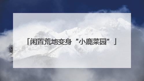 闲置荒地变身“小鹿菜园”