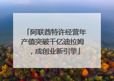阿联酋特许经营年产值突破千亿迪拉姆，成创业新引擎