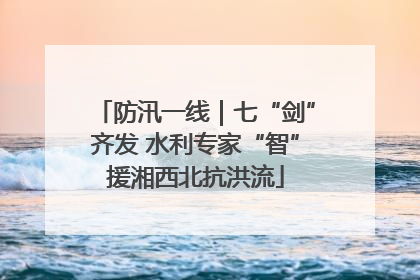 防汛一线｜七“剑”齐发 水利专家“智”援湘西北抗洪流