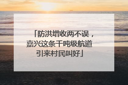 防洪增收两不误，嘉兴这条千吨级航道引来村民叫好