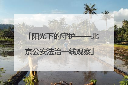 阳光下的守护——北京公安法治一线观察