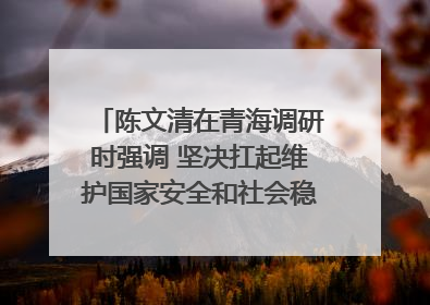 陈文清在青海调研时强调 坚决扛起维护国家安全和社会稳定职责使命 为谱写中国式现代化青海篇章贡献政法力量